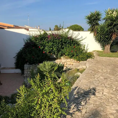 Ciliegio In * San Ligorio