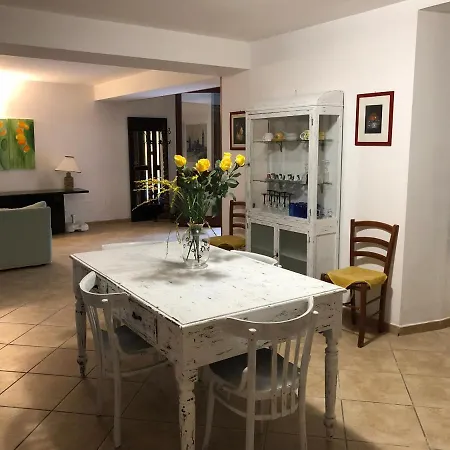 Ciliegio In